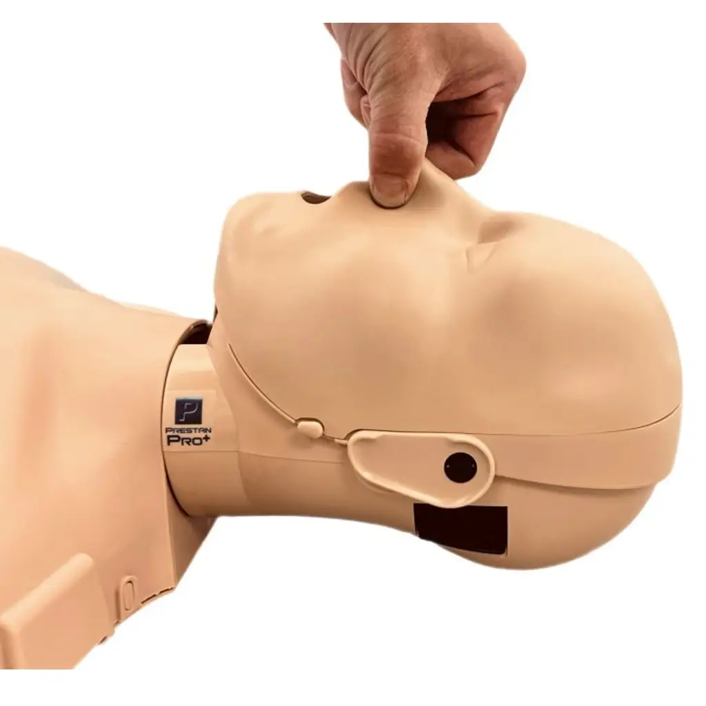 PRO+ Adult Manikin - Image 2